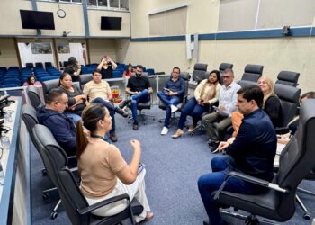 Vereadores se reúnem com EDP para esclarecer investimentos no município