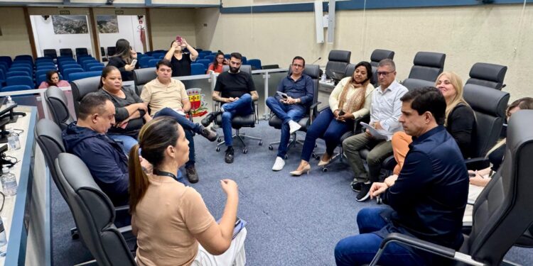 Vereadores se reúnem com EDP para esclarecer investimentos no município