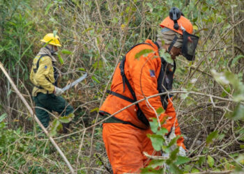 Brasil registra menor número de queimadas da série histórica em agosto