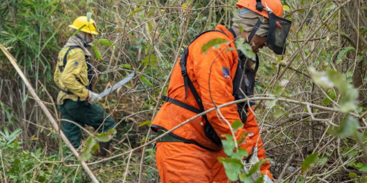 Brasil registra menor número de queimadas da série histórica em agosto