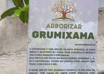 Plantio de árvores nativas reforça arborização urbana em Caraguatatuba
