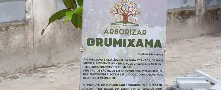 Plantio de árvores nativas reforça arborização urbana em Caraguatatuba
