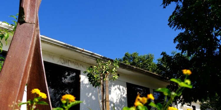 Projeto Música no Museu retorna e ‘Concertos no Macc’ traz música de câmara no dia 7