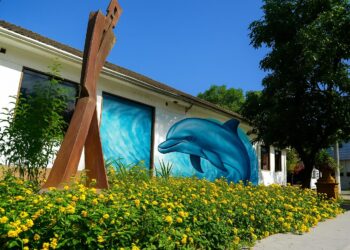 Macc retoma ‘Projeto Golfinho de Arte-Educação’ e premia produções dos estudantes 