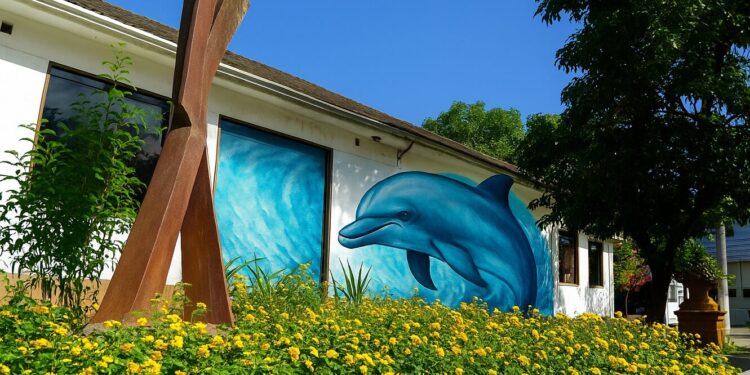 Macc retoma ‘Projeto Golfinho de Arte-Educação’ e premia produções dos estudantes 