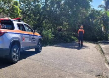 Moradores de Caraguatatuba afetados pelo vendaval de julho podem sacar FGTS por calamidade