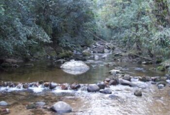 Comitê de Bacias Hidrográficas do Litoral Norte abre Edital para projetos ambientais