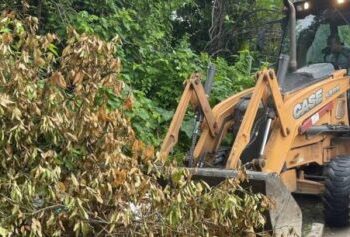 Prefeitura encerra janeiro com limpeza e reparos urbanos em 22 bairros de Caraguatatuba