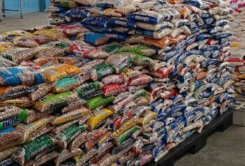 Banco de Alimentos de Caraguatatuba recebe 2,3 toneladas de alimentos arrecadados durante shows na semana do Ano Novo