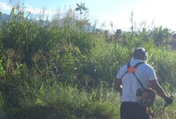 Mais 36 bolsistas do PEAD são convocados para reforço na limpeza dos bairros de Caraguatatuba