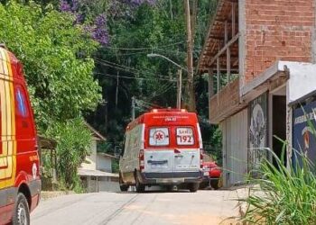 Agente comunitária acompanha parto em situação emergencial em domicílio e evidencia papel da atenção básica