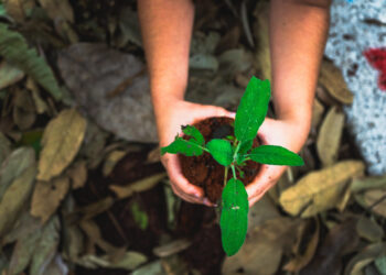 Bertioga recebe curso para criação da Horta Comunitária da Vila do Bem Chácaras