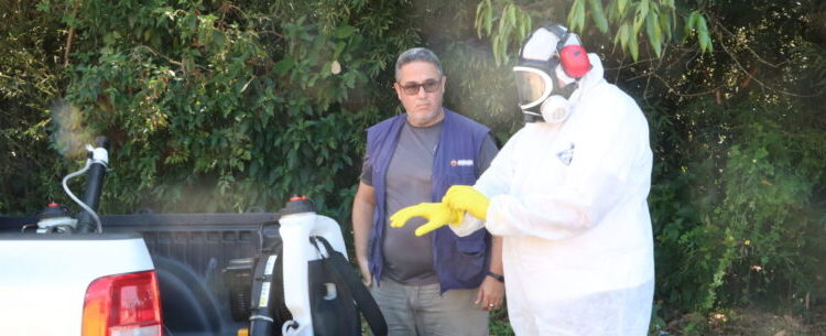 Prefeitura de Caraguatatuba intensifica ações de controle da dengue e chikungunya e pede cooperação de moradores