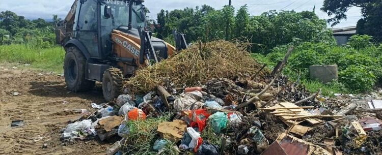 Secretaria de Serviços Públicos fecha 1ª quinzena de fevereiro com limpeza de 20 bairros em Caraguatatuba