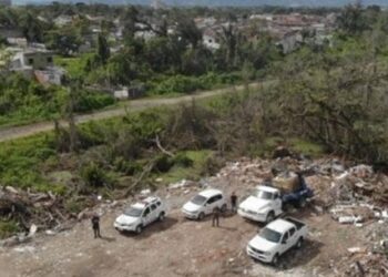 Prefeitura de Caraguatatuba intensifica fiscalizações ambientais no município