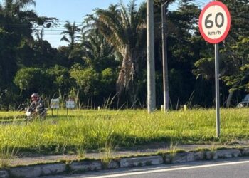 Prefeitura de Caraguatatuba notifica DER e cobra limpeza nos canteiros da SP-55