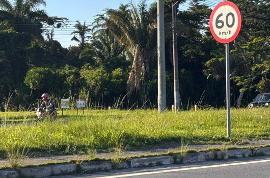 Prefeitura de Caraguatatuba notifica DER e cobra limpeza nos canteiros da SP-55