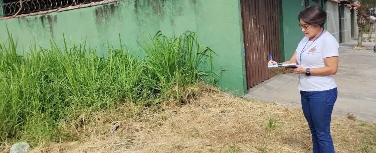 Prefeitura notifica donos de terrenos com mato alto no bairro Golfinhos e prevê multa por descumprimento