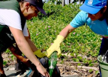 Mutirões de limpeza mobilizam comunidade no Porto Novo em prol do meio ambiente