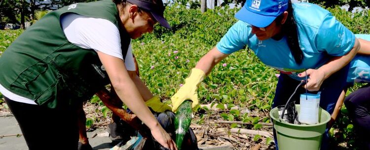 Mutirões de limpeza mobilizam comunidade no Porto Novo em prol do meio ambiente