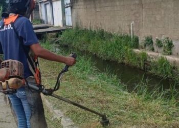 Prefeitura de Caraguatatuba divulga mais uma convocação de bolsistas do PEAD para limpeza pública