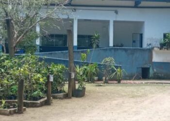 Viveiro Municipal de Caraguatatuba abre espaço para atividades de educação ambiental