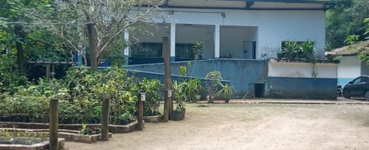 Viveiro Municipal de Caraguatatuba abre espaço para atividades de educação ambiental