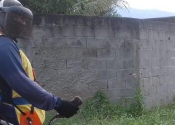 Prefeitura de Caraguatatuba chama mais 23 bolsistas do PEAD para zeladoria urbana