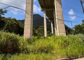 Prefeitura notifica concessionárias para garantir limpeza de áreas de domínio em Caraguatatuba