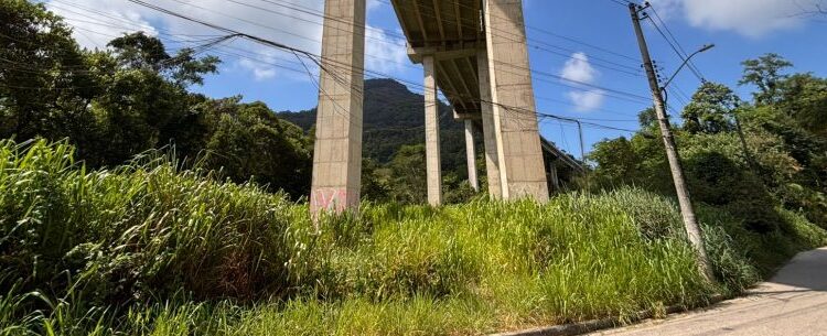 Prefeitura notifica concessionárias para garantir limpeza de áreas de domínio em Caraguatatuba