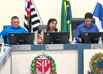 Projeto que fortalece capacitação para atendimento de crianças com autismo na rede municipal é aprovado