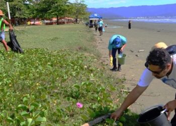 Caraguatatuba promove mutirão de limpeza na Praia do Porto Novo e convida população a participar