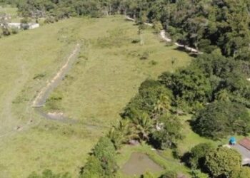 Caraguatatuba intensifica ações e autua infrações ambientais na cidade