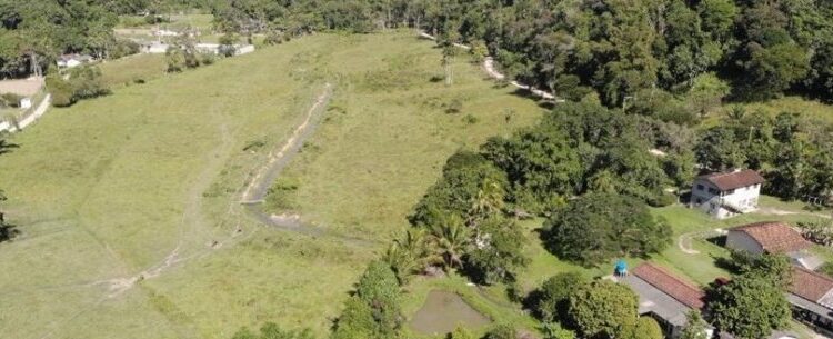 Caraguatatuba intensifica ações e autua infrações ambientais na cidade