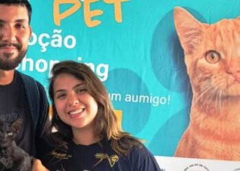 Oito animais ganham novos lares em Caraguatatuba após Feira de Adoção de cães e gatos
