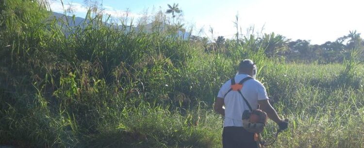 Mais 20 bolsistas do PEAD são convocados para atuar na zeladoria dos bairros de Caraguatatuba