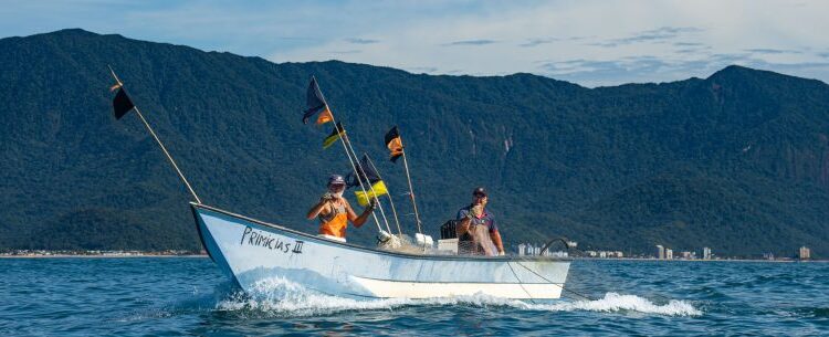 Pesca do camarão é retomada em Caraguatatuba após defeso e exige cumprimento de regras ambientais