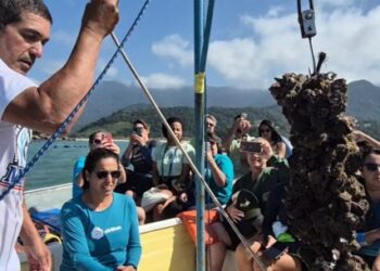 Caraguatatuba ganha destaque em Guia de Experiências Turísticas do Estado de São Paulo