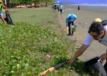 Caraguatatuba promove programação especial durante o Mês do Meio Ambiente com ações educativas e sustentáveis