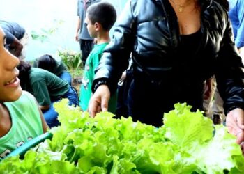 Programa Horta nas Escolas leva educação ambiental e práticas sustentáveis a estudantes da rede municipal