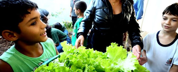 Programa Horta nas Escolas leva educação ambiental e práticas sustentáveis a estudantes da rede municipal