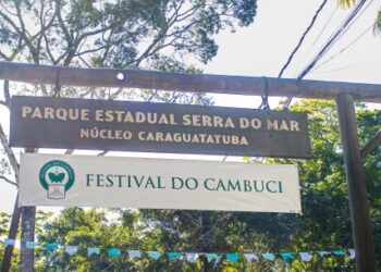 13º Festival do Cambuci movimenta Caraguatatuba com gastronomia trilhas e atrações culturais neste domingo