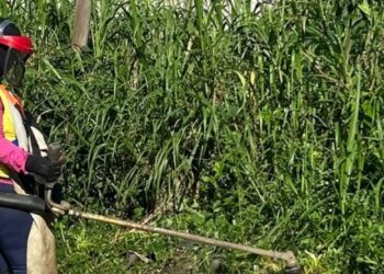 Mais bolsistas do PEAD são convocados para zeladoria dos bairros de Caraguatatuba