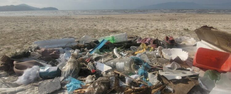 Ações ambientais recolhem 389 kg de resíduos e promovem conscientização em Caraguatatuba