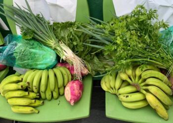 SAA abre novo chamamento público do Programa de Aquisição de Alimentos