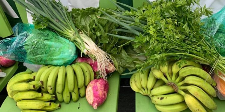 SAA abre novo chamamento público do Programa de Aquisição de Alimentos