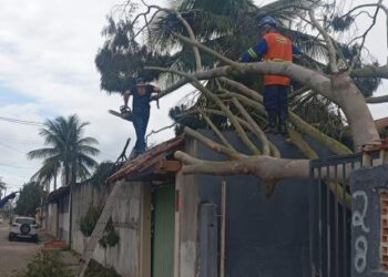 Plancon é colocado em prática durante ventania e coordena resposta integrada em Caraguatatuba