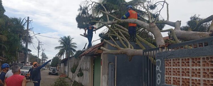 Plancon é colocado em prática durante ventania e coordena resposta integrada em Caraguatatuba