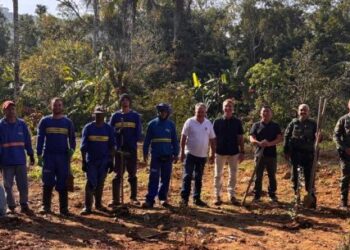 Área pública recuperada no Mar Verde recebe mais de 70 mudas nativas