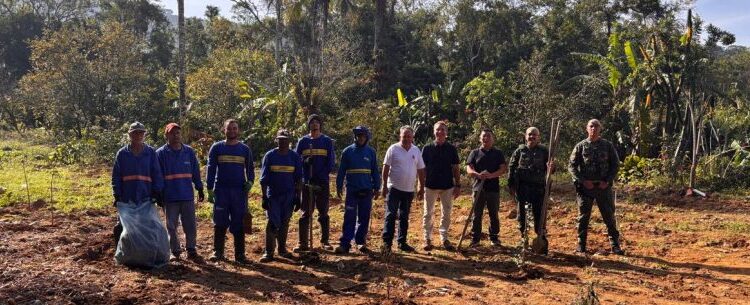 Área pública recuperada no Mar Verde recebe mais de 70 mudas nativas